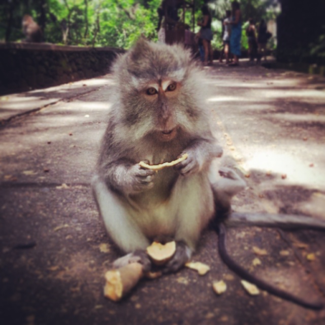 IMG_20150302_153106.jpg image